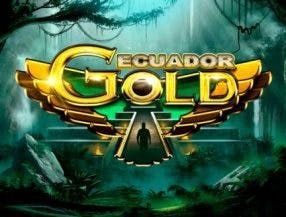 bet midas